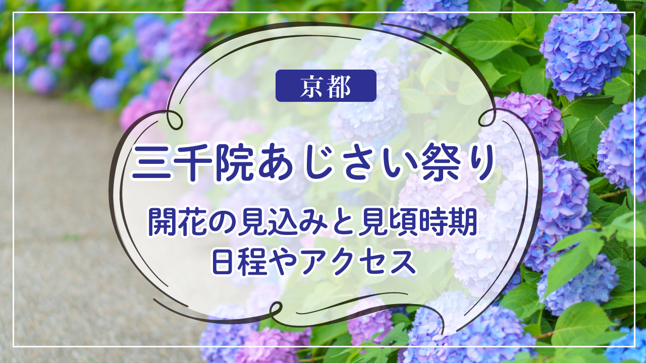 2024年三千院あじさい祭り：開花の見込みと見頃時期、日程やアクセス、駐車場情報まで徹底ガイド